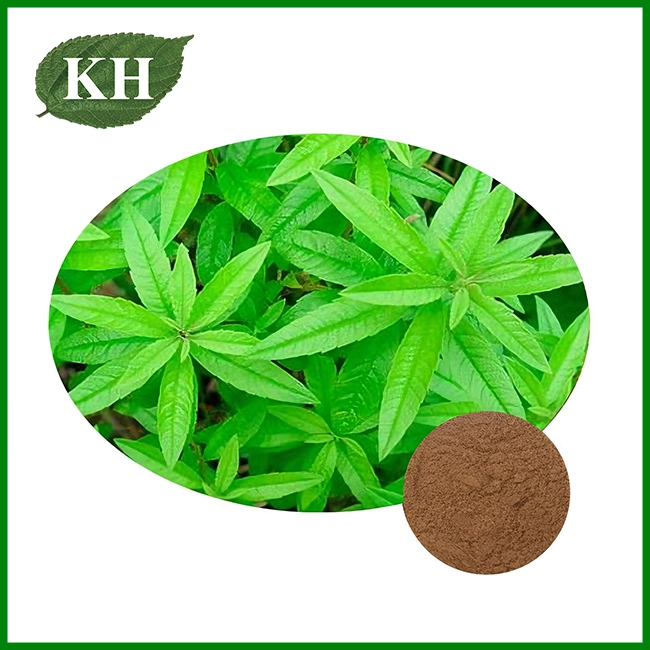 Lemon Verbena Extract Powder Lemon Verbena Extract Powder